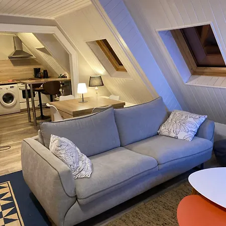 Joli 2 Pieces, Avec Climatisation Et Grande Terrasse, Vue Sur Les Toits, Zone Pietonne アグノー