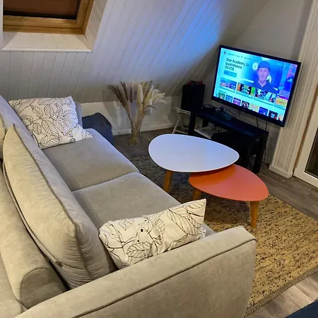 Joli 2 Pièces, Avec Climatisation Et Grande Terrasse, Vue Sur Les Toits, Zone Piétonne Haguenau