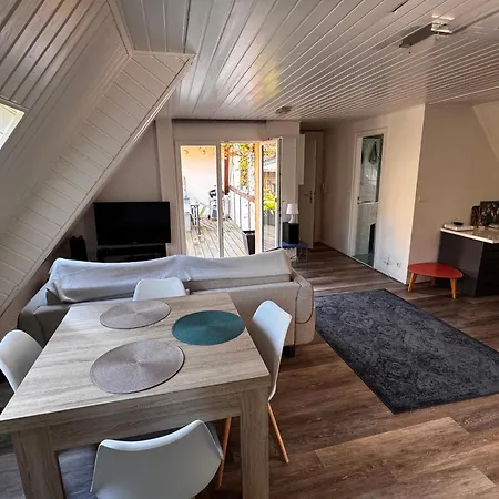 Apartment Joli 2 Pieces, Climatise Avec Terrasse, Vue Sur Les Toits, En Zone Pietonne Haguenau