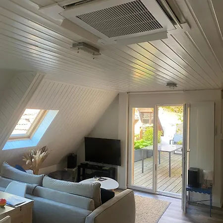 Lejlighed Joli 2 Pieces, Avec Climatisation Et Grande Terrasse, Vue Sur Les Toits, Zone Pietonne Haguenau