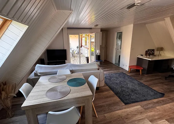 Appartement Joli 2 Pièces, Avec Climatisation Et Grande Terrasse, Vue Sur Les Toits, Zone Piétonne Haguenau